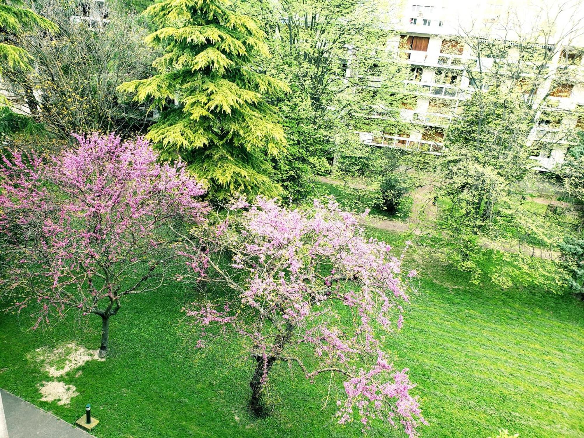 Suite From 1 To 6 - Bathtubs In Rooms - Air Conditioned Residential Appartement - Self-Arrival - Wifi - Netflix Disney - Kitchen - Laundry - Parking Avinyon Dış mekan fotoğraf